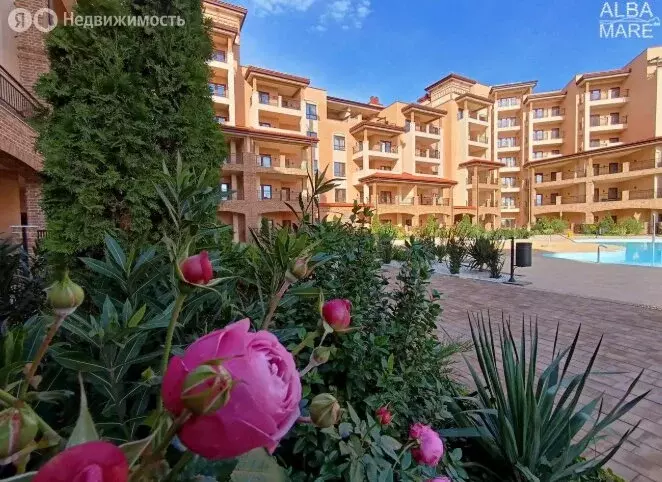 Квартира-студия: Заозёрное, улица Аллея Дружбы, 70 (34.19 м) - Фото 2