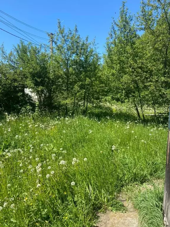 Помещение свободного назначения в Татарстан, Высокогорское с/пос, ... - Фото 2