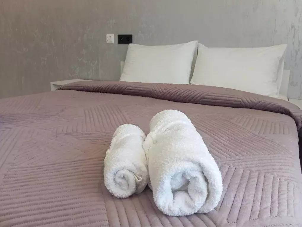 Студия Крым, Ялта муниципальный округ, Виноградное пгт ш. ... - Фото 2