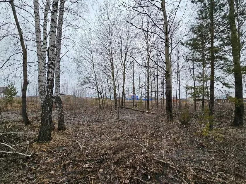 Участок в Тюменская область, Тюменский район, д. Зырянка  (10.5 сот.) - Фото 0