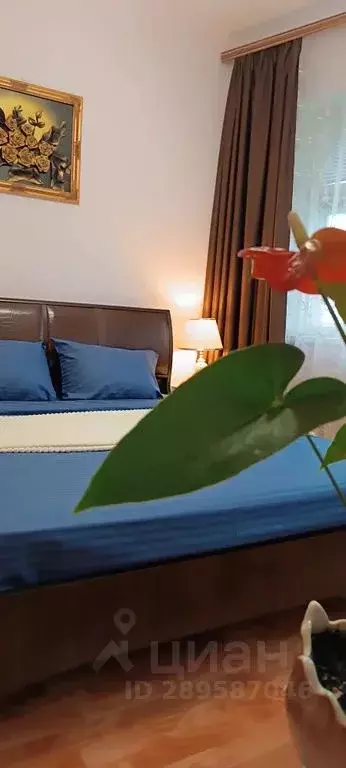 1-к кв. Ивановская область, Иваново Московский мкр, 5 (42.0 м) - Фото 1