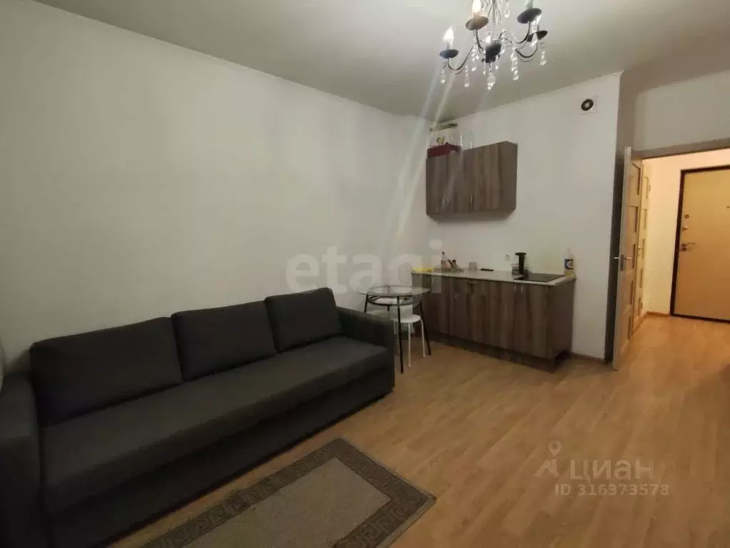 Студия Санкт-Петербург просп. Ветеранов, 171к5 (24.2 м) - Фото 0
