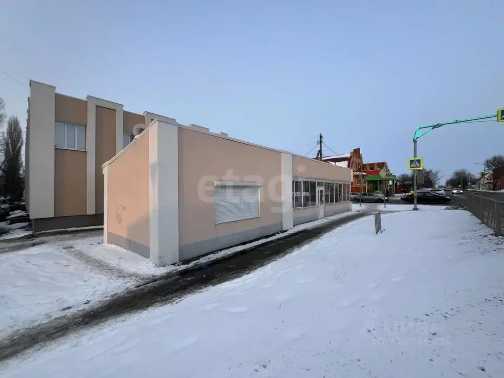 Торговая площадь в Воронежская область, Борисоглебск Северный мкр, 42 ... - Фото 1