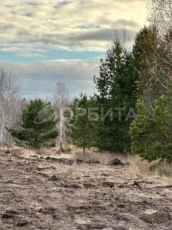 Участок в Тюменская область, Нижнетавдинский район, с. Тюнево  (10.0 ... - Фото 1