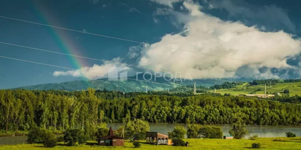 Участок в Алтайский край, Алтайский район, Айский сельсовет, Урочище ... - Фото 1
