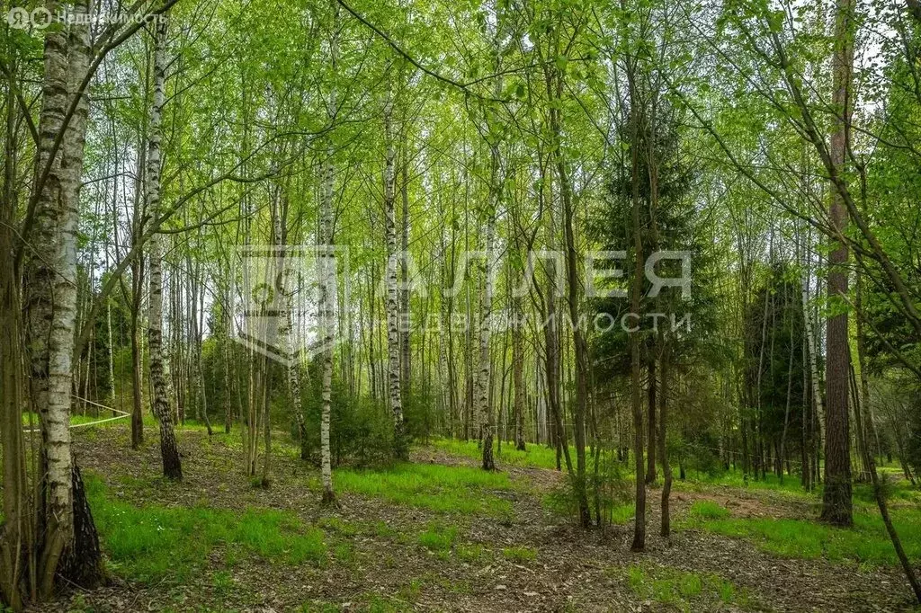 Участок в Московская область, Одинцовский городской округ, КП Лес ... - Фото 0