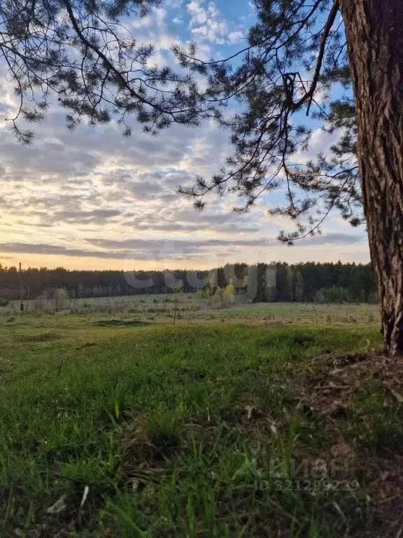 Участок в Калужская область, Боровск Бора-Боровск форестлейк кп,  ... - Фото 2