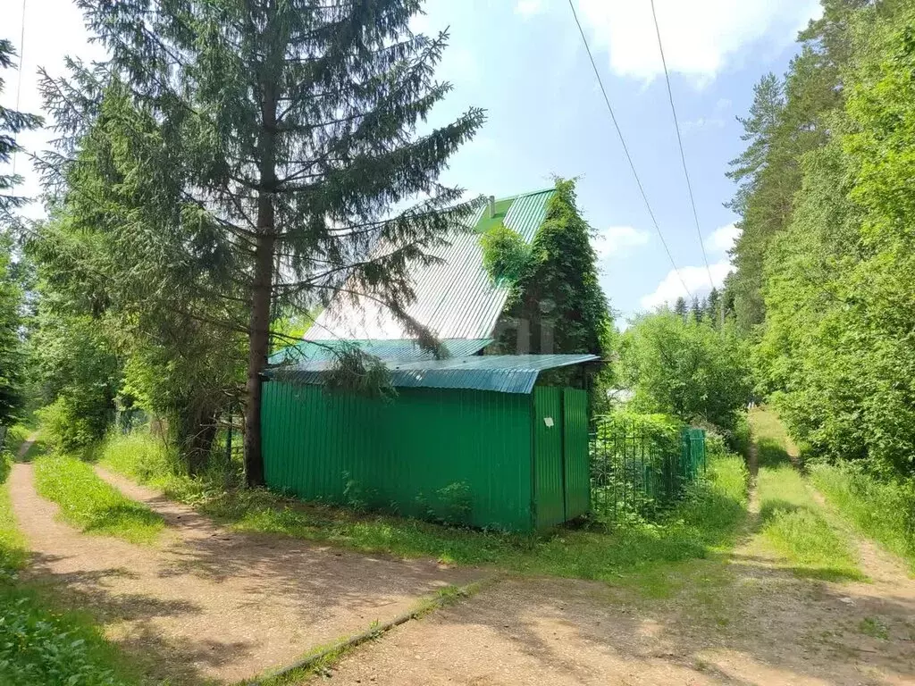 Участок в Пермский край, Краснокамский муниципальный округ, СНТ ... - Фото 1