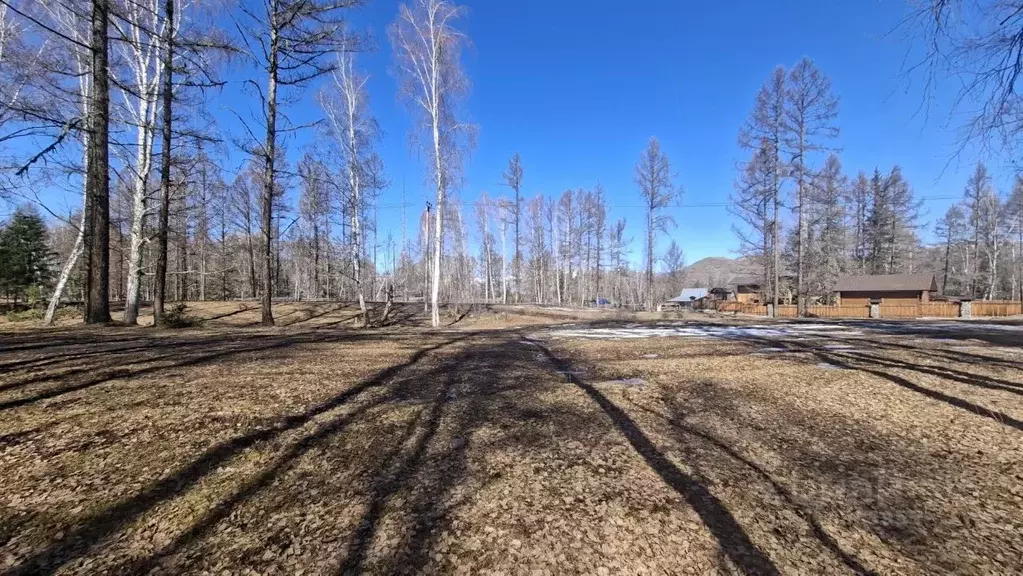 Участок в Алтай, Усть-Коксинский район, пос. Замульта Майская ул. ... - Фото 2