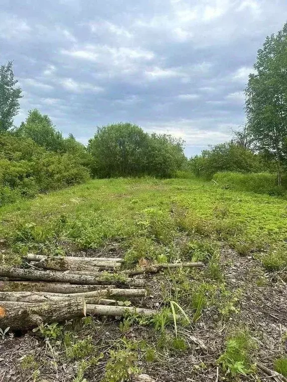 Участок в Новгородская область, Великий Новгород Золотая осень СТ,  ... - Фото 1