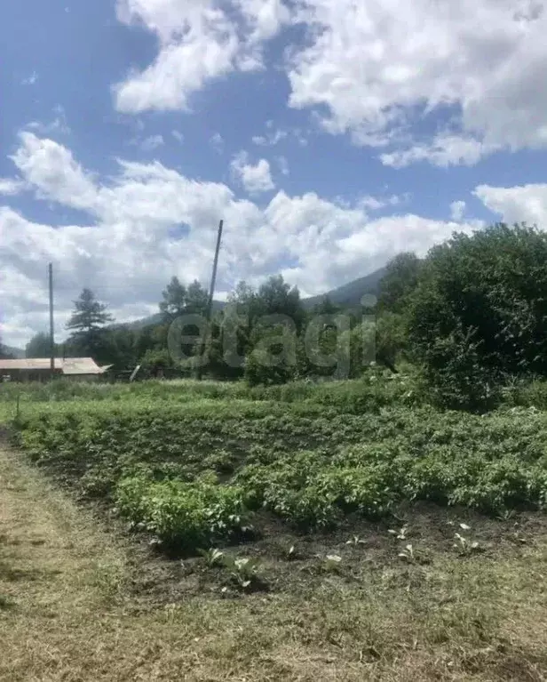 Дом в Алтай, Шебалинский район, с. Шебалино Алтайская ул., 85 (68 м) - Фото 1