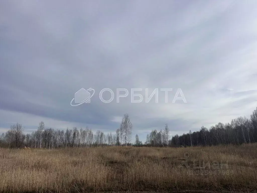Участок в Тюменская область, Тюменский муниципальный округ, Приозерное ... - Фото 1