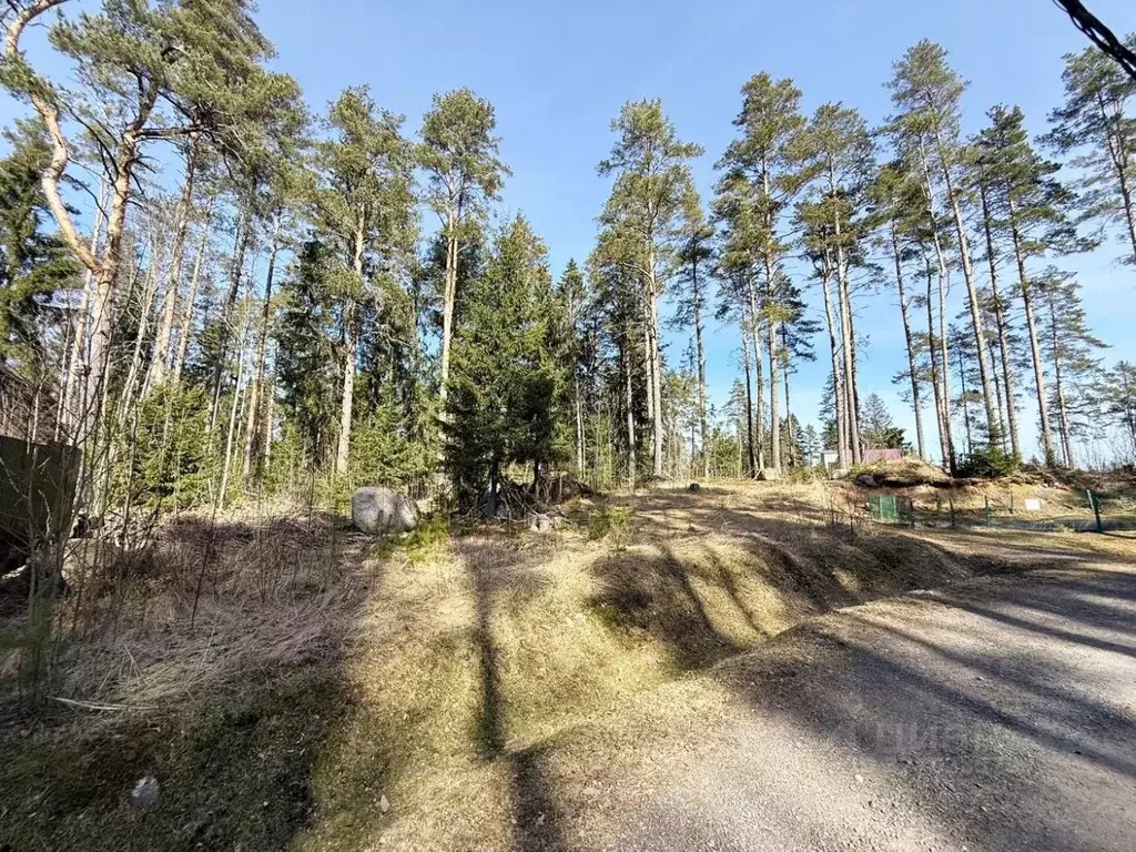 Участок в Ленинградская область, Выборгский район, Приморское ... - Фото 1