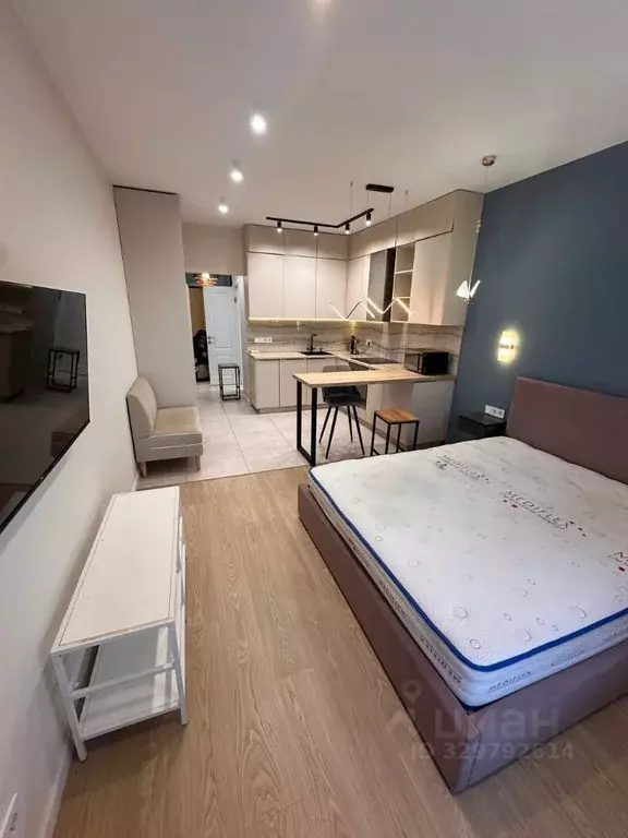 Студия Санкт-Петербург Богатырский просп., 2А (28.7 м) - Фото 2