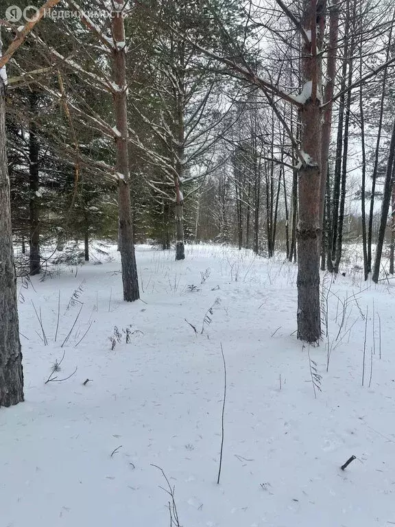 Участок в Пермский муниципальный округ, квартал Новые Гамы (18.3 м) - Фото 2