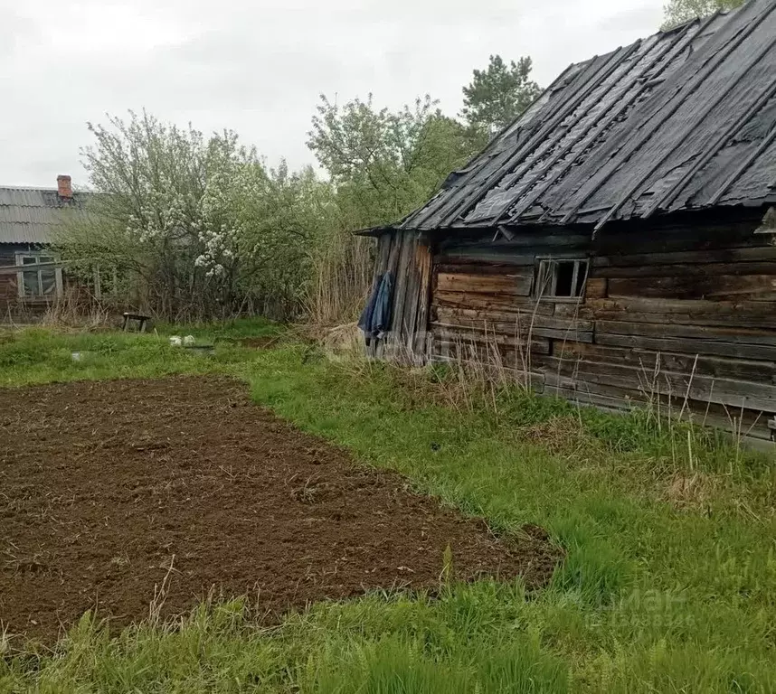 Участок в Хабаровский край, Комсомольский район, с. Большая Картель ... - Фото 0