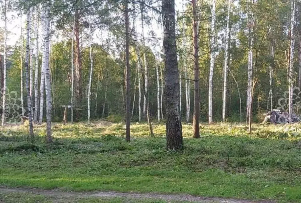 Участок в Тверская область, Кимрский муниципальный округ, д. Селищи  ... - Фото 0