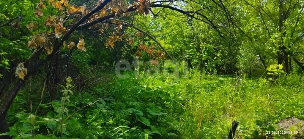 Участок в Свердловская область, Нижний Тагил Треста Тагилстрой № 1 ... - Фото 1