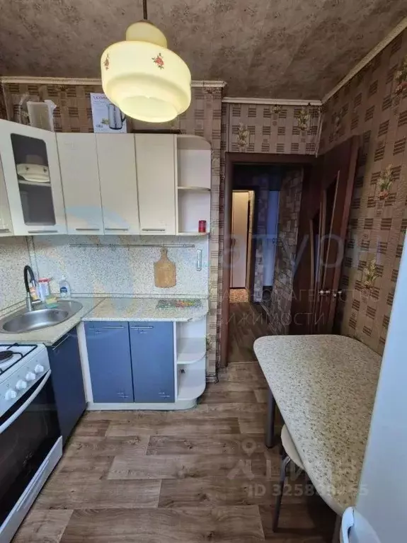 1-к кв. Курганская область, Курган ул. Сухэ-Батора, 6 (31.8 м) - Фото 2