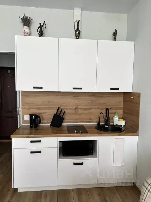 1-к кв. Севастополь с. Орловка, ш. Качинское, 35/60 (30.0 м) - Фото 2