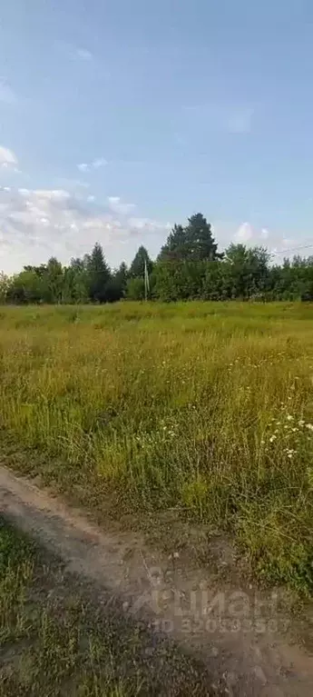 Участок в Алтайский край, Алтайский район, Айский сельсовет, с. Ая ул. ... - Фото 2