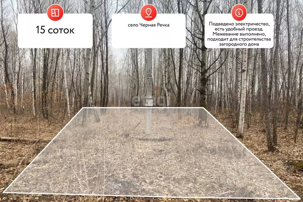 Участок в Хабаровский край, Хабаровский район, с. Черная Речка  (15.0 ... - Фото 2