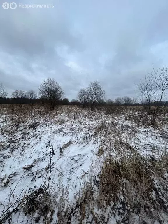 Участок в Орехово-Зуевский городской округ, деревня Грибчиха, 1-й ... - Фото 1