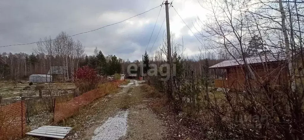 Участок в Свердловская область, Екатеринбург Берендей СНТ, 72 (10.7 ... - Фото 0