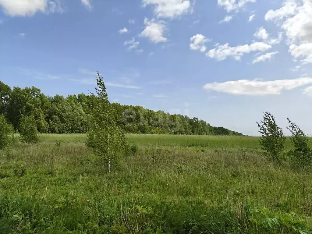 Участок в Владимирская область, Муром с. Ковардицы, ул. 75 лет Победы ... - Фото 1