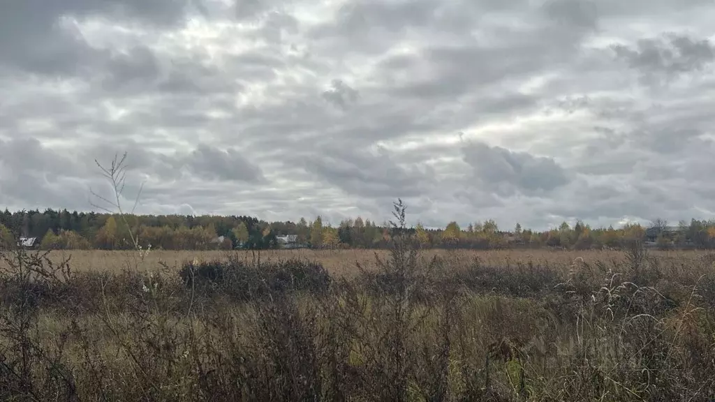 Участок в Московская область, Ступино городской округ, с. Ивановское  ... - Фото 1