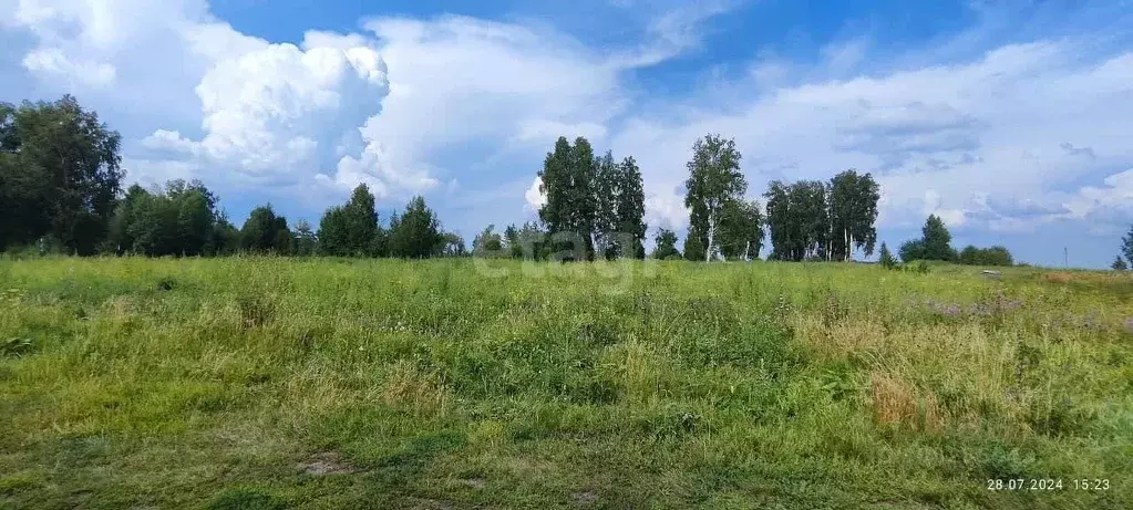 Участок в Томская область, Томский район, с. Коларово Кооперативная ... - Фото 1