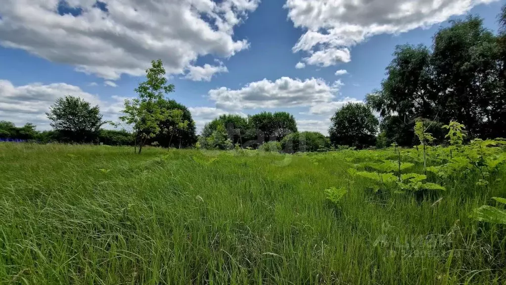 Участок в Владимирская область, Муром с. Борисово, ул. Подгорная (10.0 ... - Фото 2