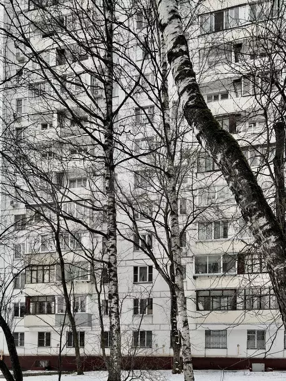 1-к. квартира, 32,6 м, 4/12 эт. - Фото 0