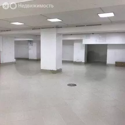 Помещение свободного назначения (550 м) - Фото 2