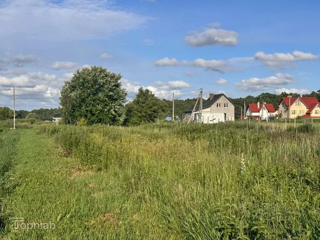 Участок в Калининградская область, Гурьевский муниципальный округ, ... - Фото 1