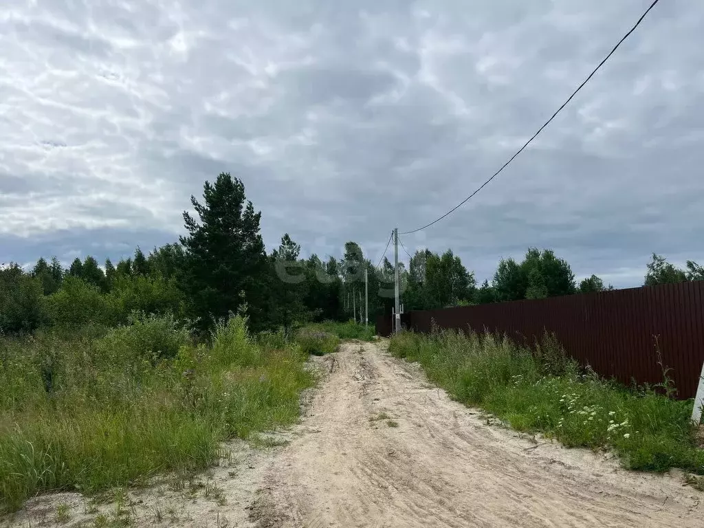 Участок в Тюменская область, Нижнетавдинский район, с. Тюнево  (10.0 ... - Фото 1