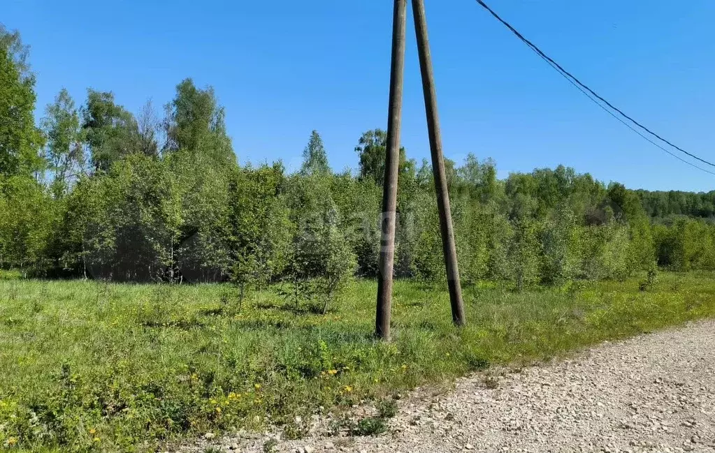 Участок 37 сот. (СНТ, ДНП) - Фото 0