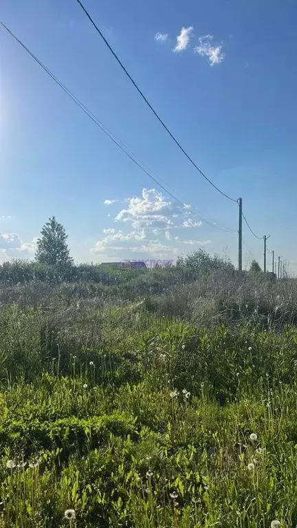 Участок в Тюменская область, Ялуторовск ул. Генерала Уварова, 43 (17.5 ... - Фото 0