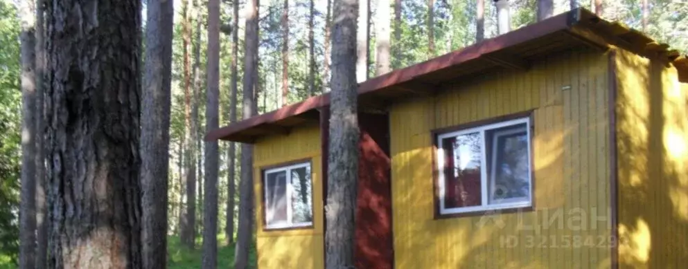 Дом в Ленинградская область, Выборгский район, Гончаровское с/пос, ... - Фото 1