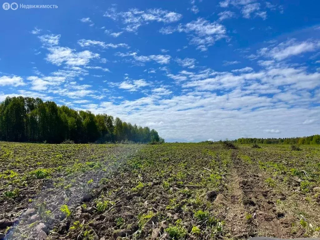 Участок в Московская область, городской округ Клин, деревня Борозда (6 ... - Фото 1