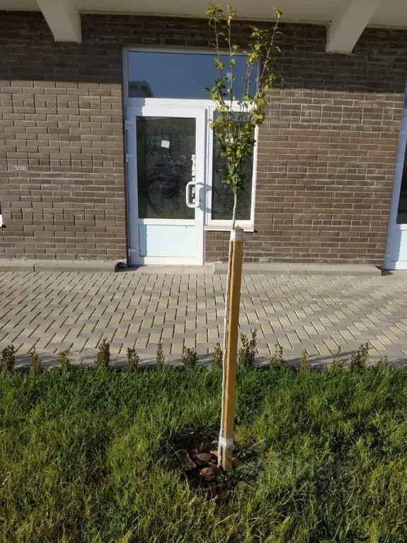 Помещение свободного назначения в Краснодарский край, Краснодар ... - Фото 1