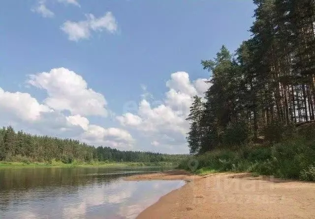 Участок в Вологодская область, Устюженский район, д. Хотыль  (20.0 ... - Фото 1