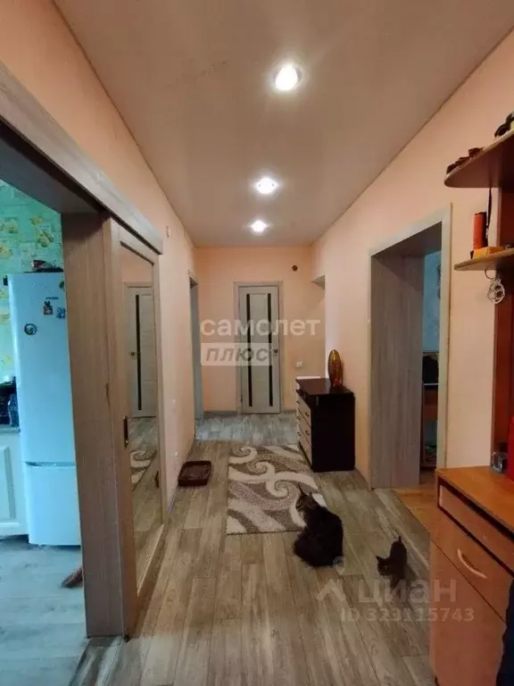 Дом в Алтайский край, Зональный район, пос. Мирный Центральная ул., 9 ... - Фото 2