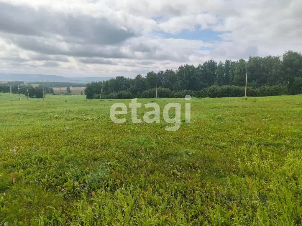 Участок в Красноярский край, Емельяново пгт ул. Родниковая (730.9 ... - Фото 1