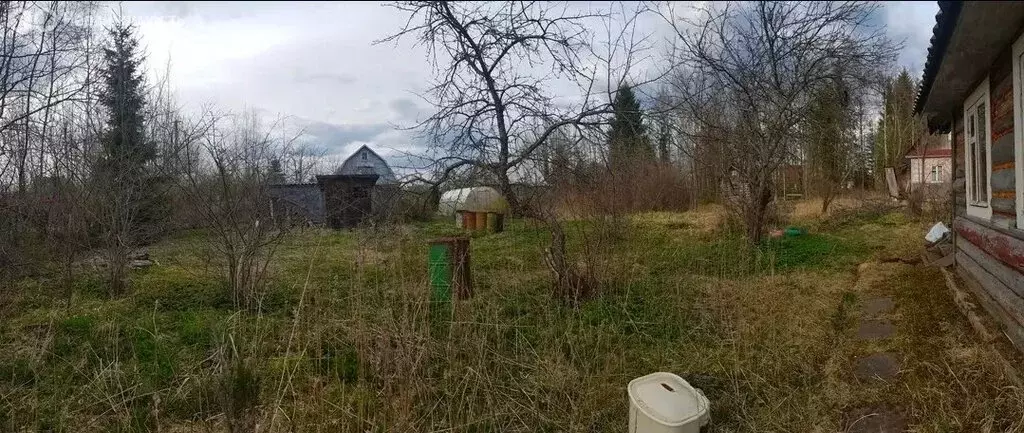 Участок в Кисельнинское сельское поселение, садоводческий массив ... - Фото 2