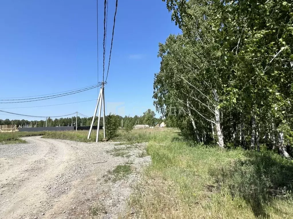 Участок в Новосибирская область, Новосибирский район, Морской ... - Фото 1