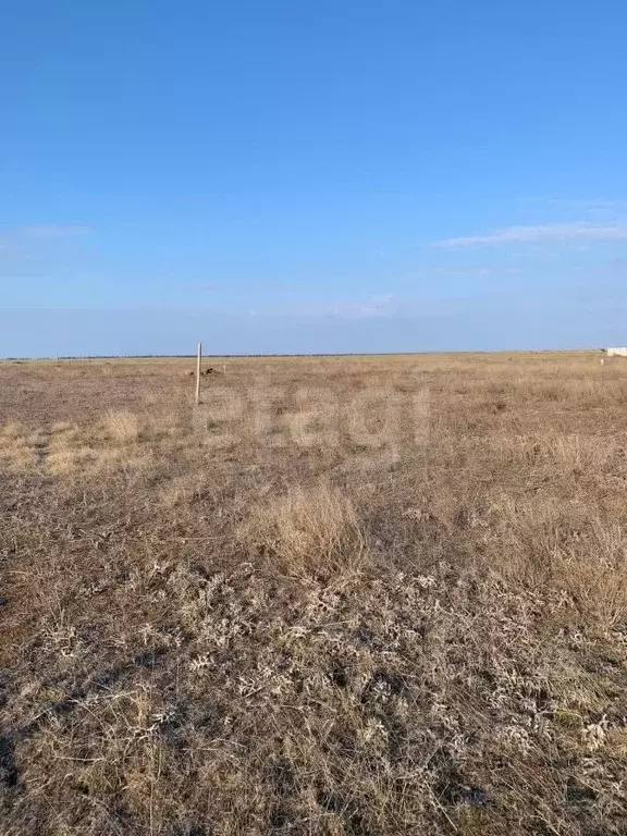 Участок в Крым, Раздольненский район, Славновское с/пос, Отдых СНТ  ... - Фото 1