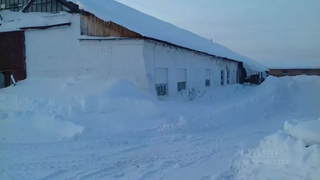 Производственное помещение в Томская область, Колпашево пер. Чапаева, ... - Фото 1