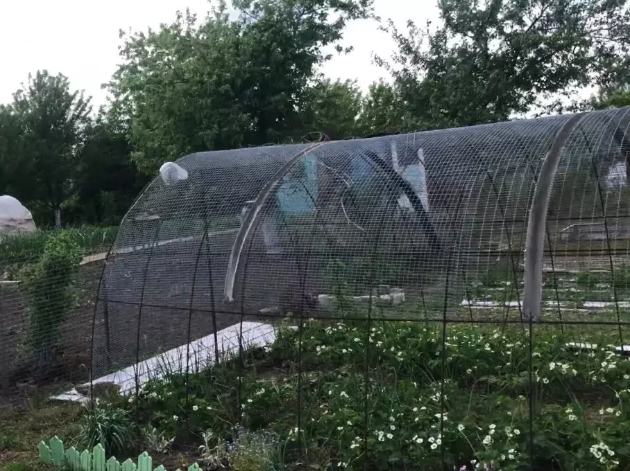 Дом в Орловский муниципальный округ, СНТ Металлург, 685 (20 м) - Фото 1