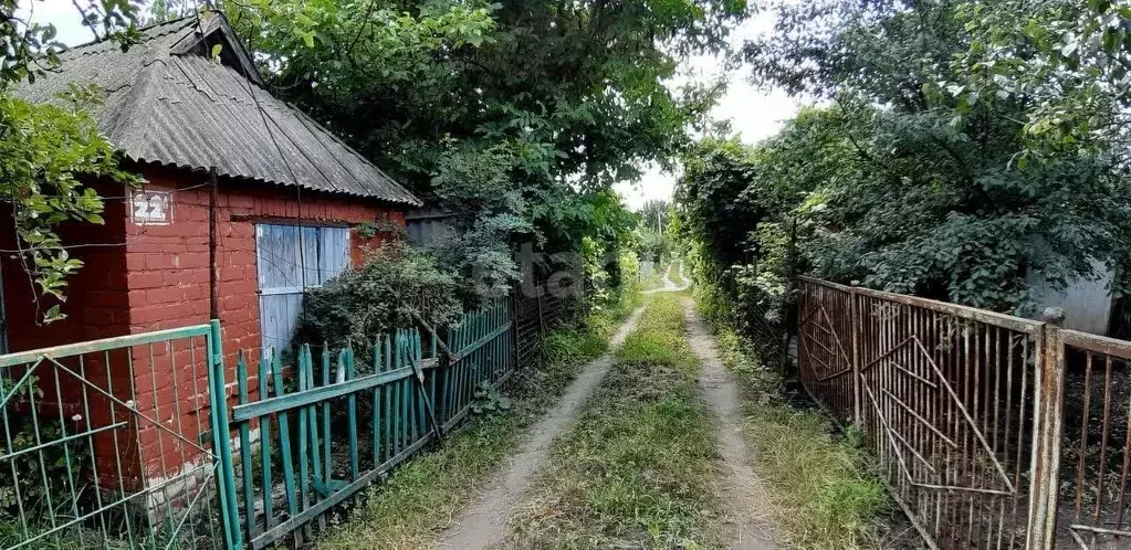 Дом в Белгородская область, Белгород Котельщик садовое товарищество,  ... - Фото 1